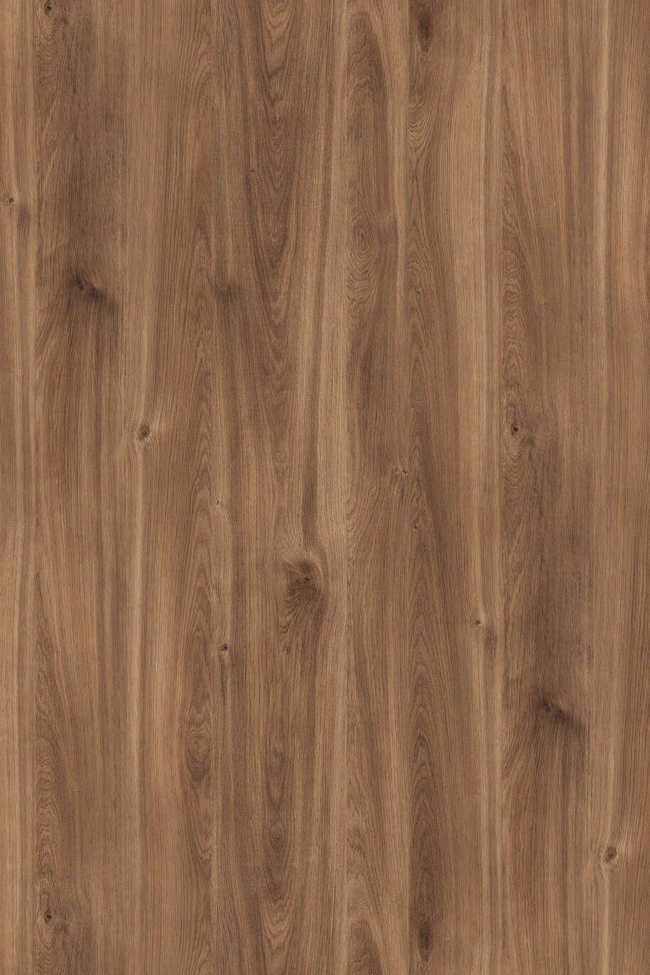 2359.jpg 2359 - الصورة 1