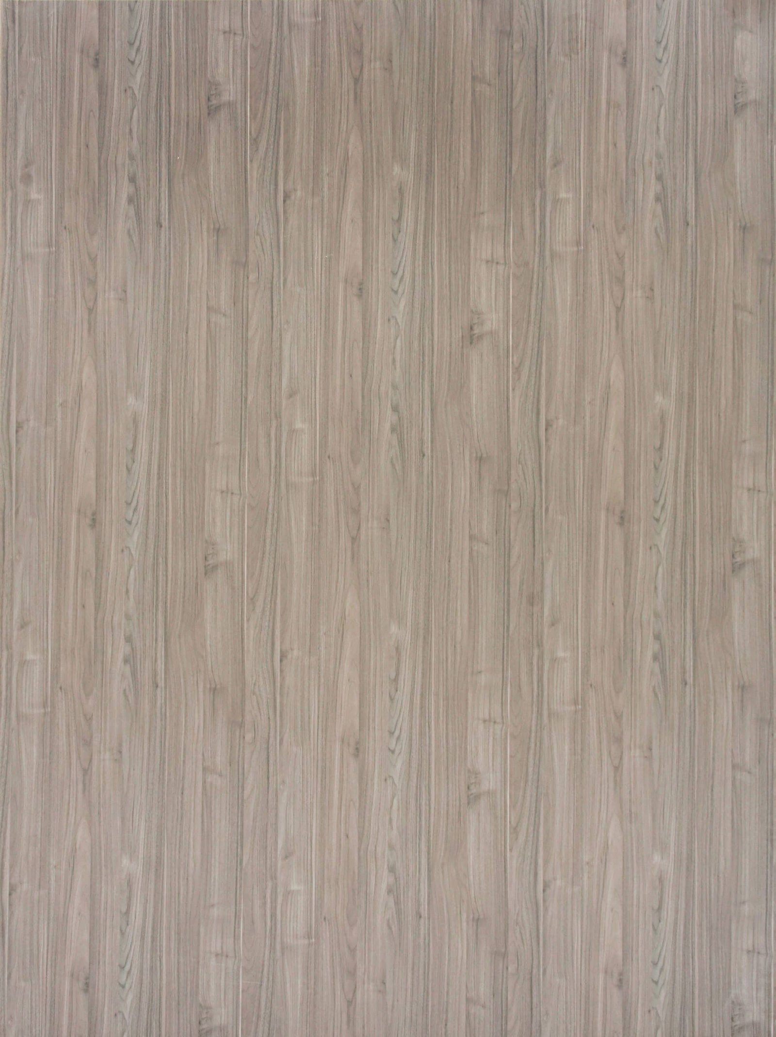 2407-scaled-1.jpg 2407 - الصورة 1