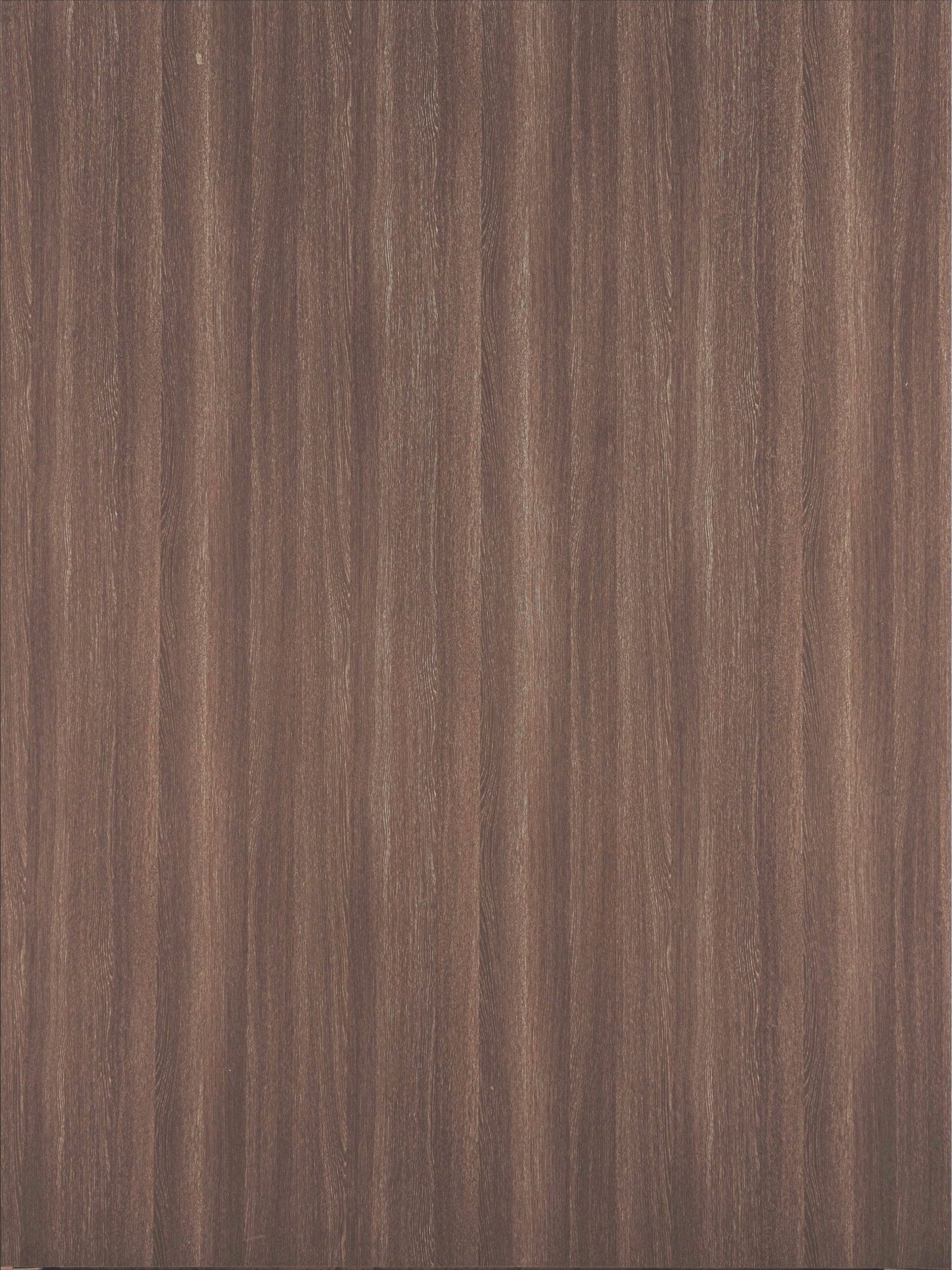 2575-scaled-1.jpg 2575 - الصورة 1