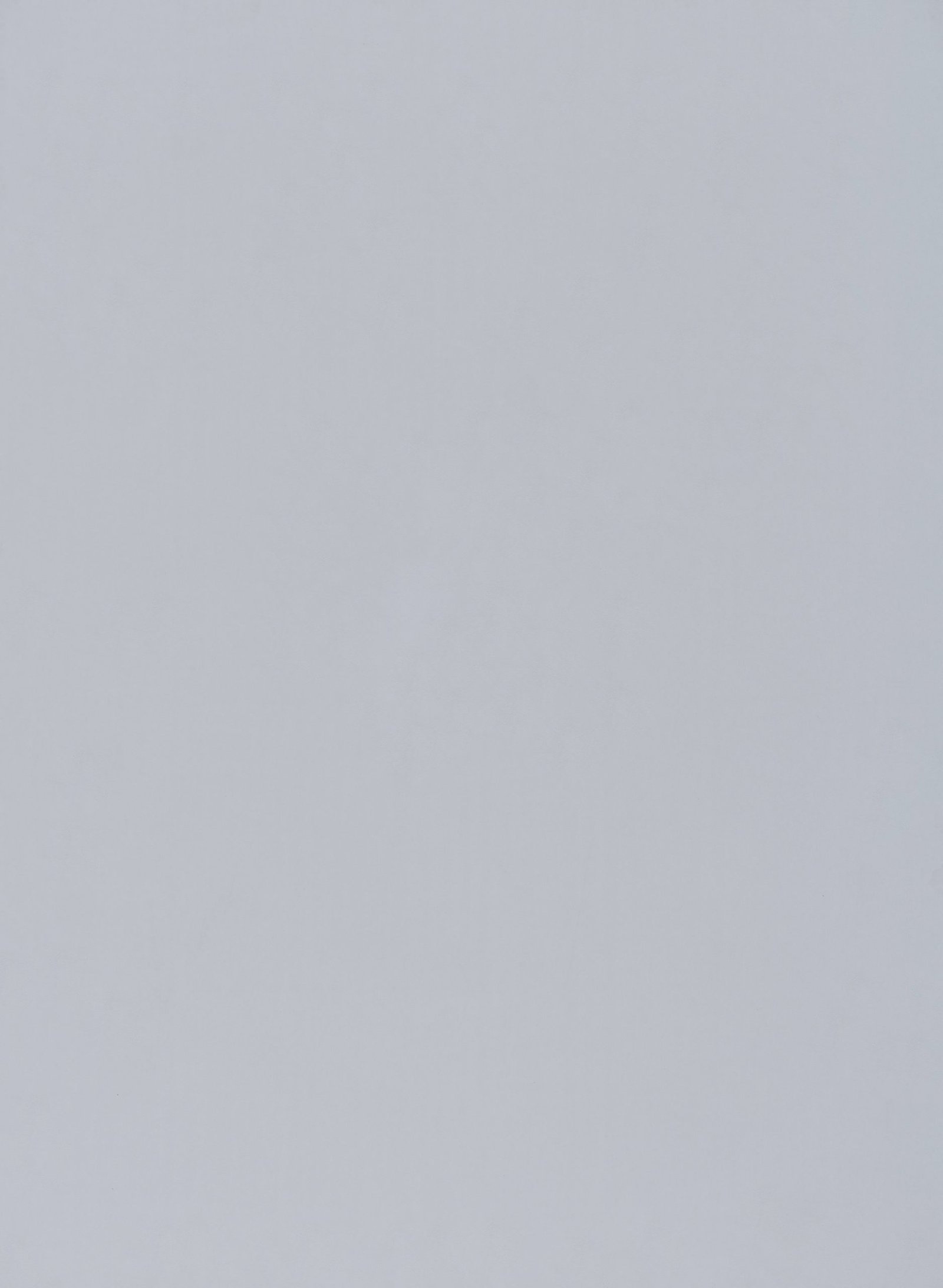 3030-gray-scaled-1.jpg 3030 - الصورة 1