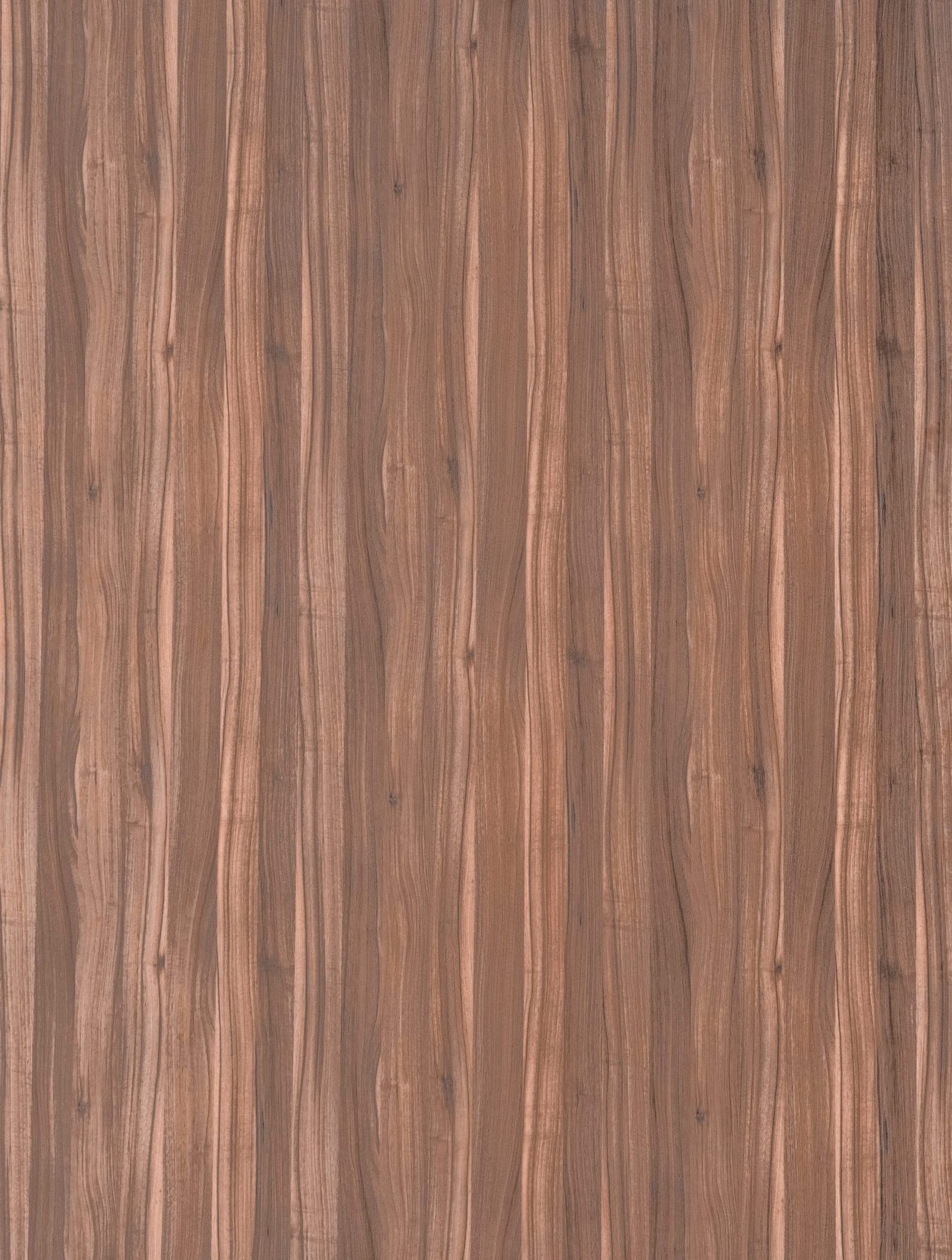 3624-scaled-1.jpg 3624 - الصورة 1