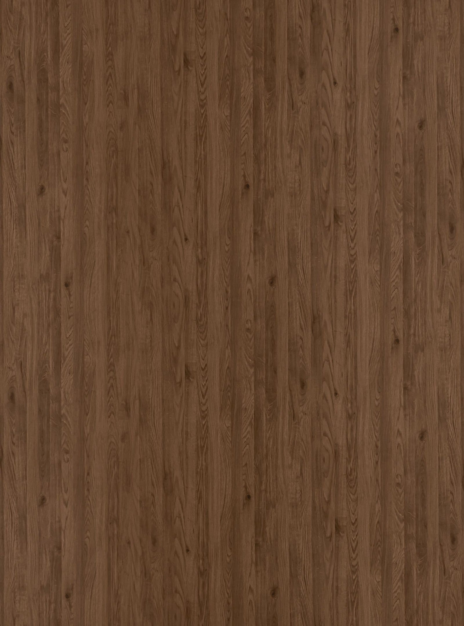 4131-scaled-1.jpg 4131 - الصورة 1