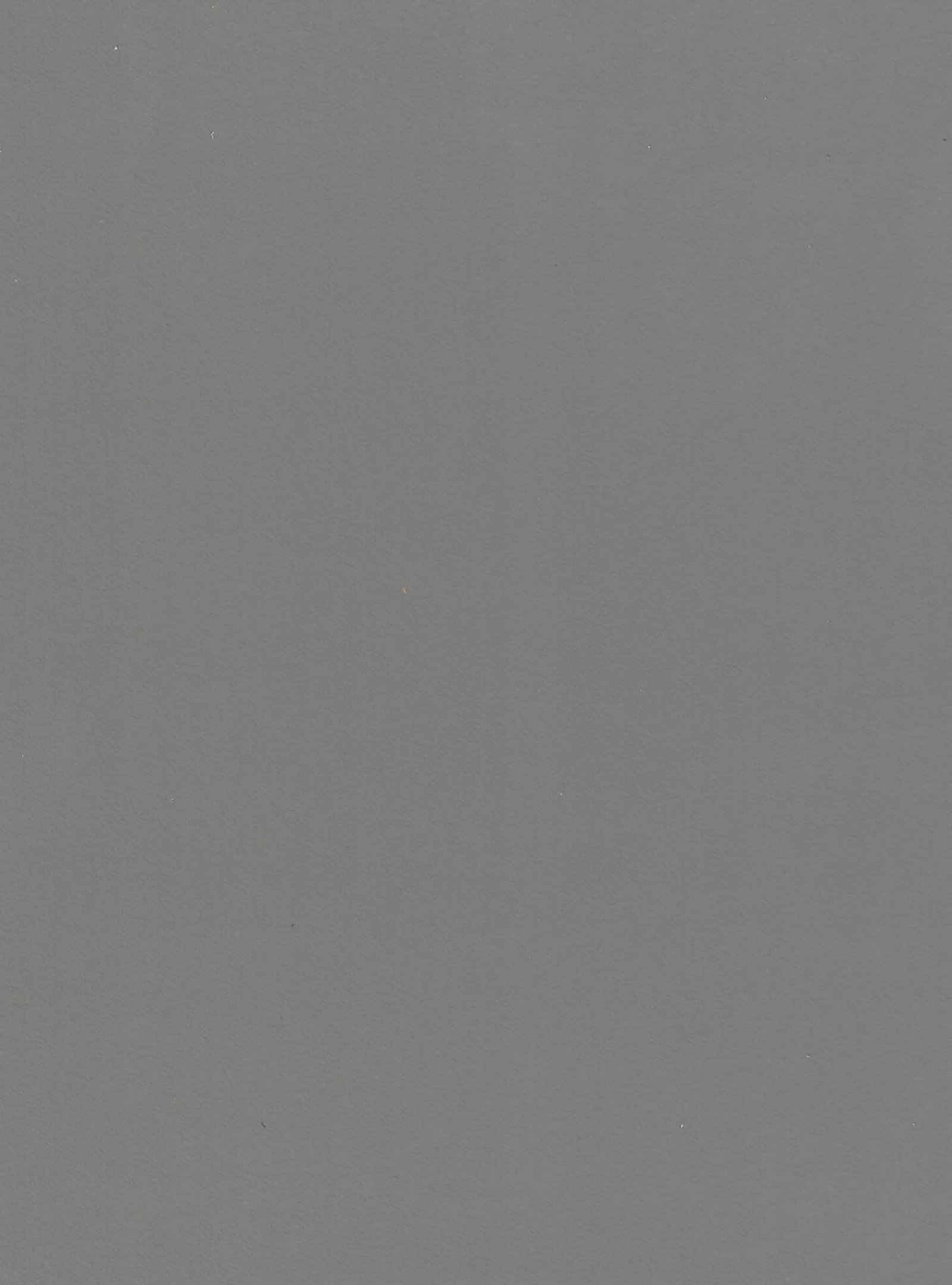 5013-scaled-1.jpg 5013 - الصورة 1