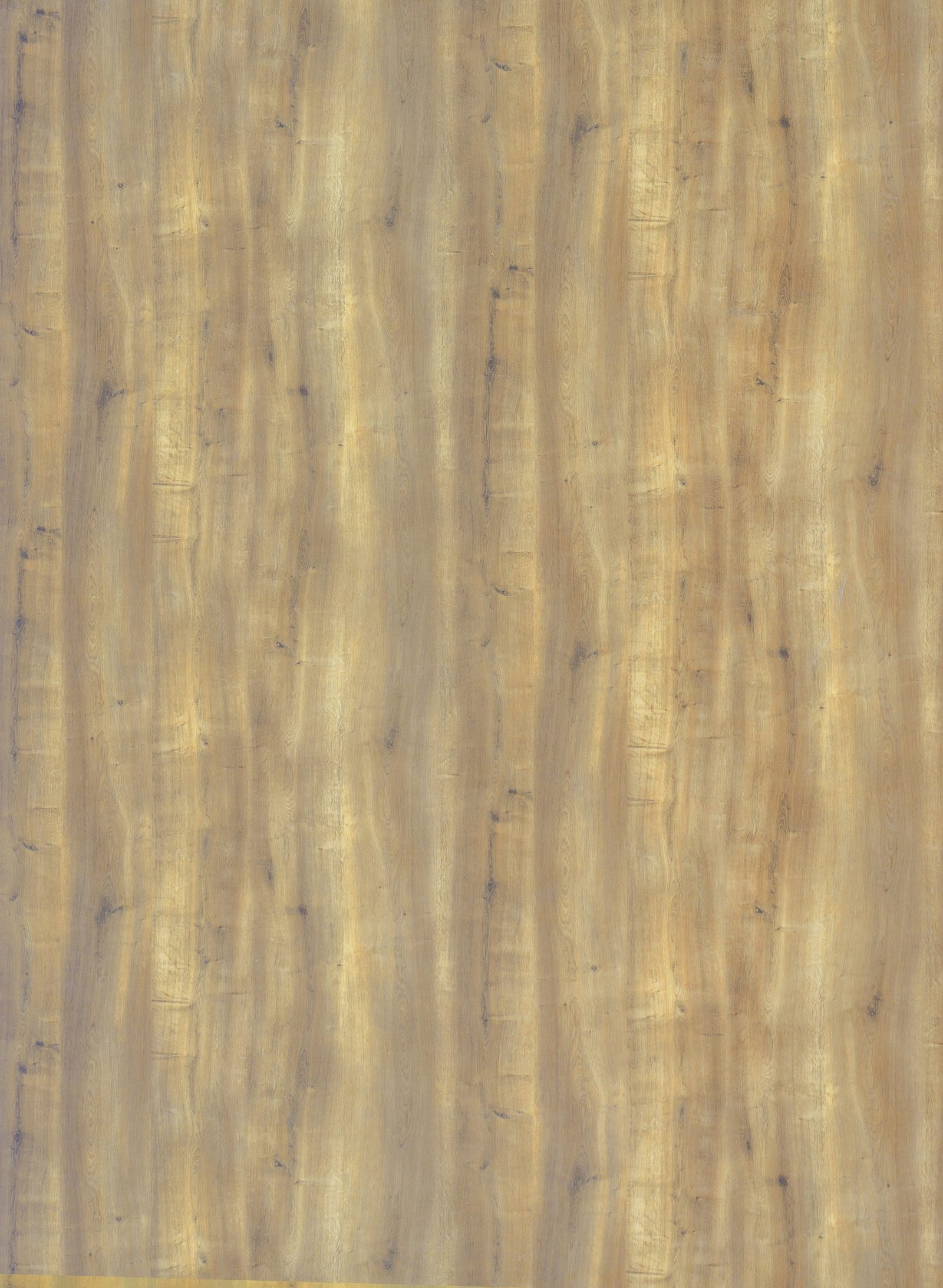 5400-oak-scaled-1.jpg 5400 - الصورة 1