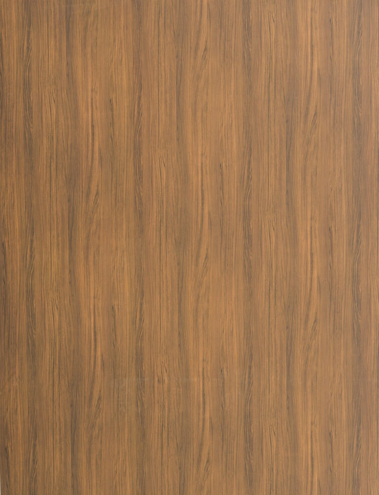 MONGOI-9512-scaled-1.jpg 9512 - الصورة 1