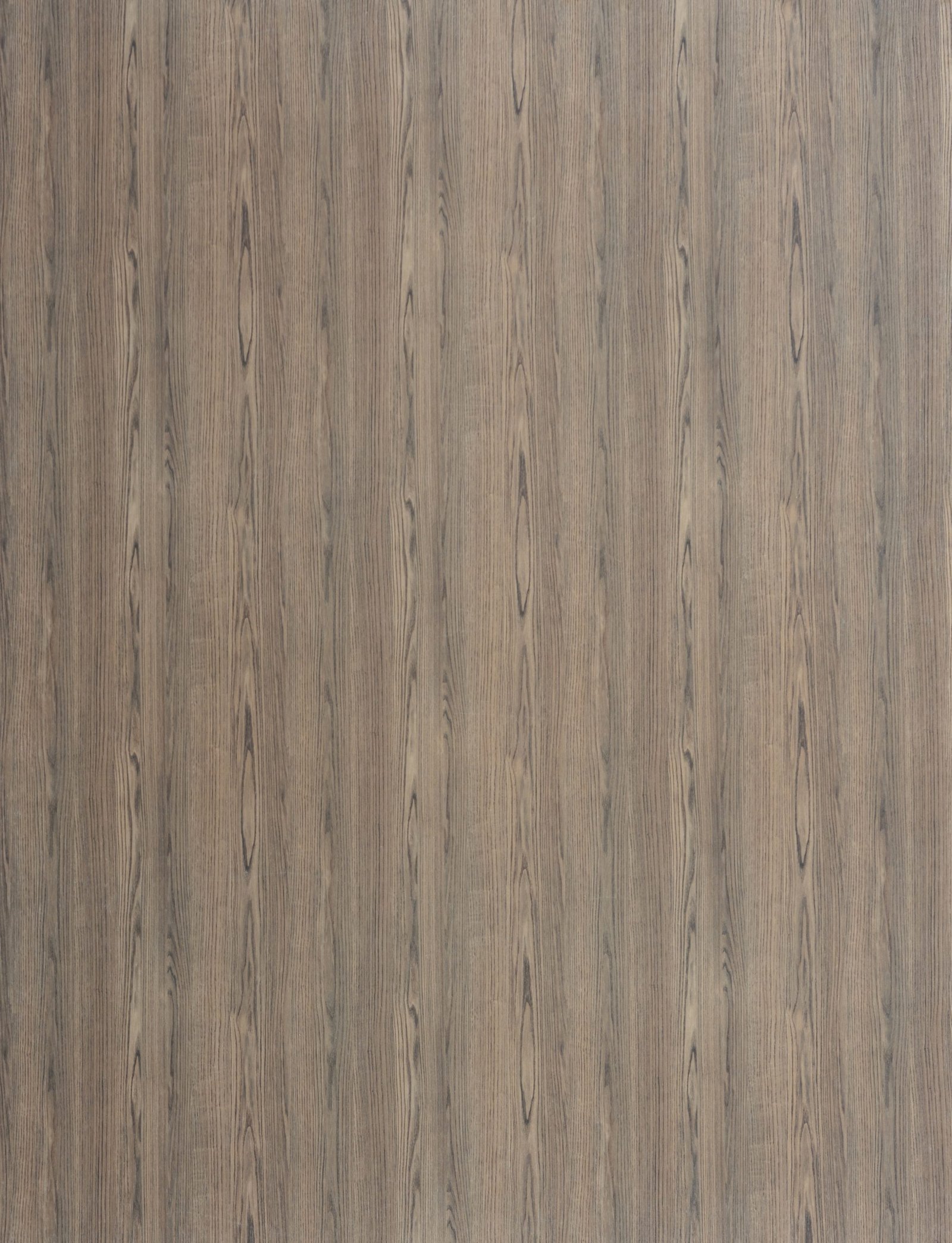 OLMO-BACH-4104-scaled-1.jpg 4104 - الصورة 1